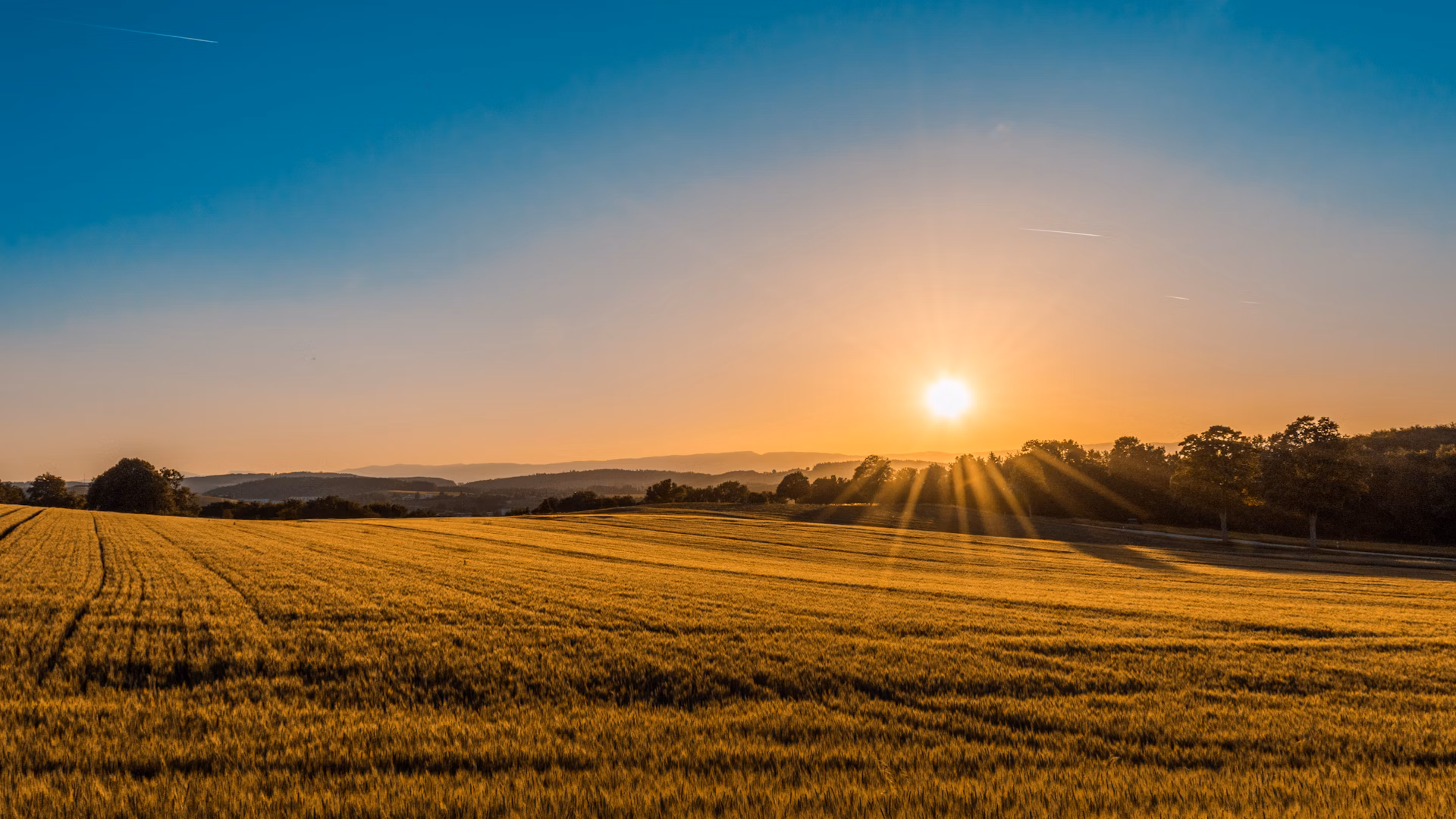 Open green land for sale